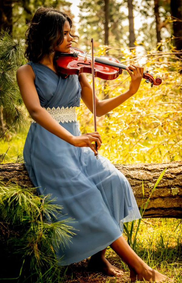Violin